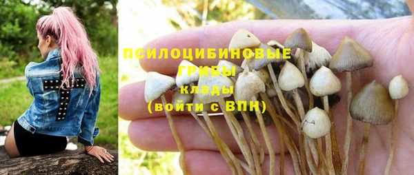 MDMA Богородск