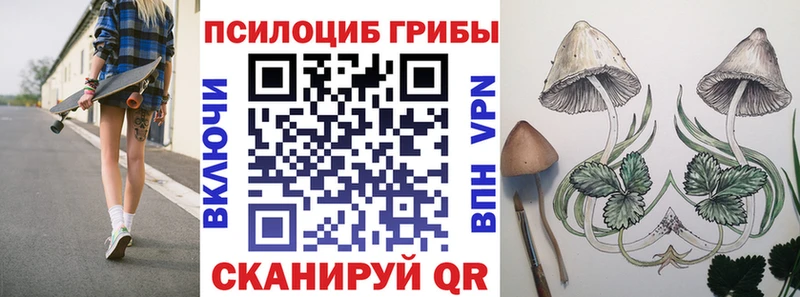 Псилоцибиновые грибы мицелий  как найти наркотики  Добрянка 
